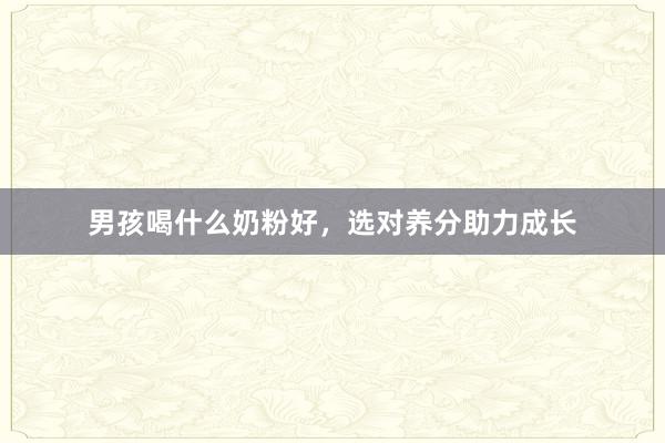 男孩喝什么奶粉好，选对养分助力成长