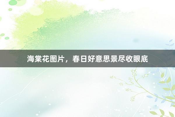 海棠花图片，春日好意思景尽收眼底